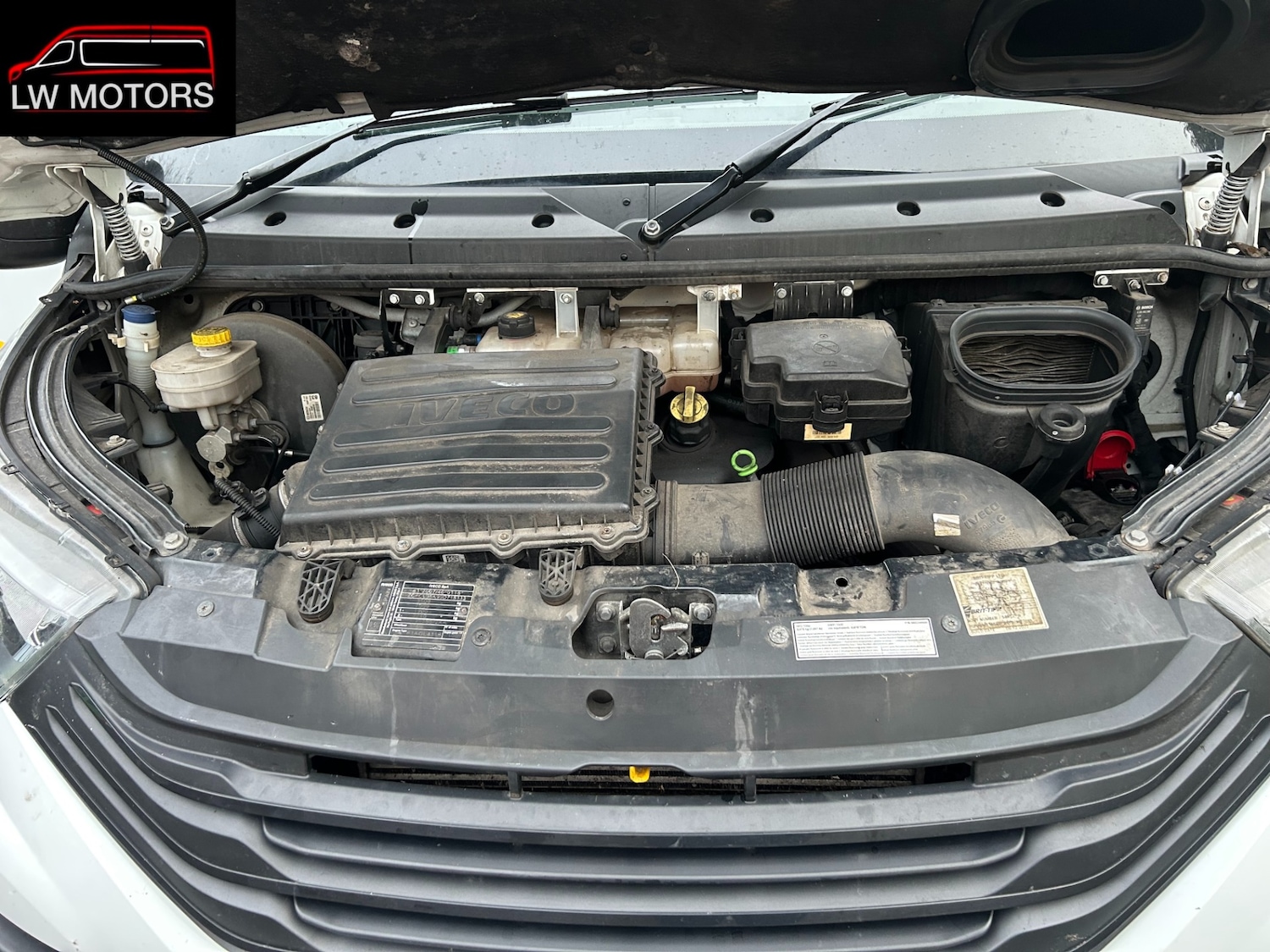 Used Iveco Daily 2023 for sale - 77210376: Photo 11