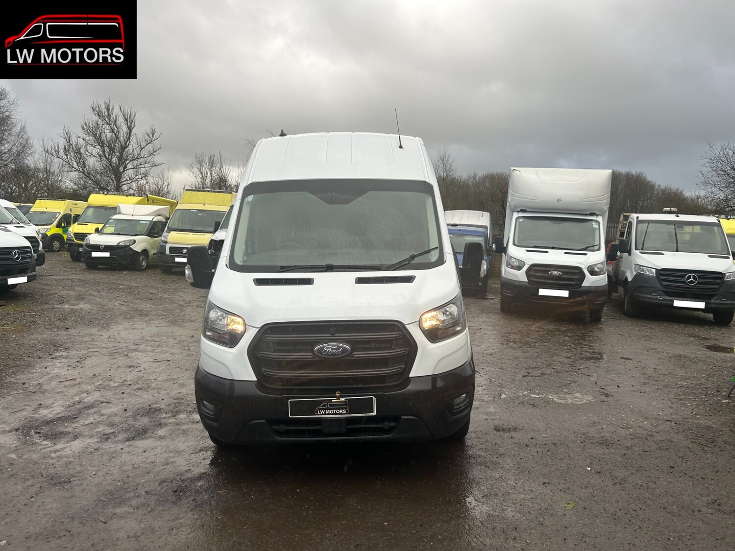 Used Ford Transit 2024 for sale - 77570293: Photo 2