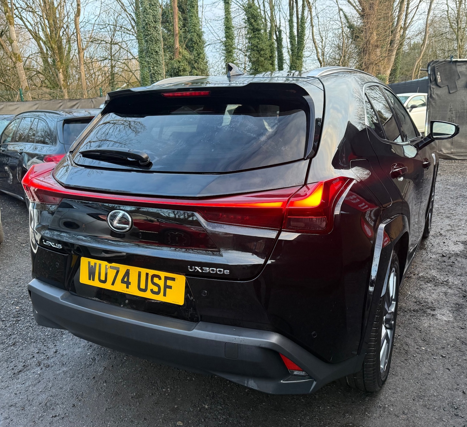 Used Lexus UX 2024 for sale - 77357632: Photo 6