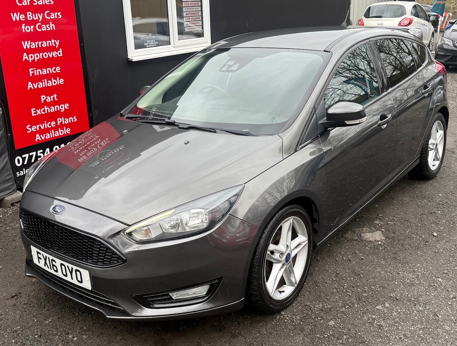 Used Ford Focus 2016 for sale - 77644063: Photo 14