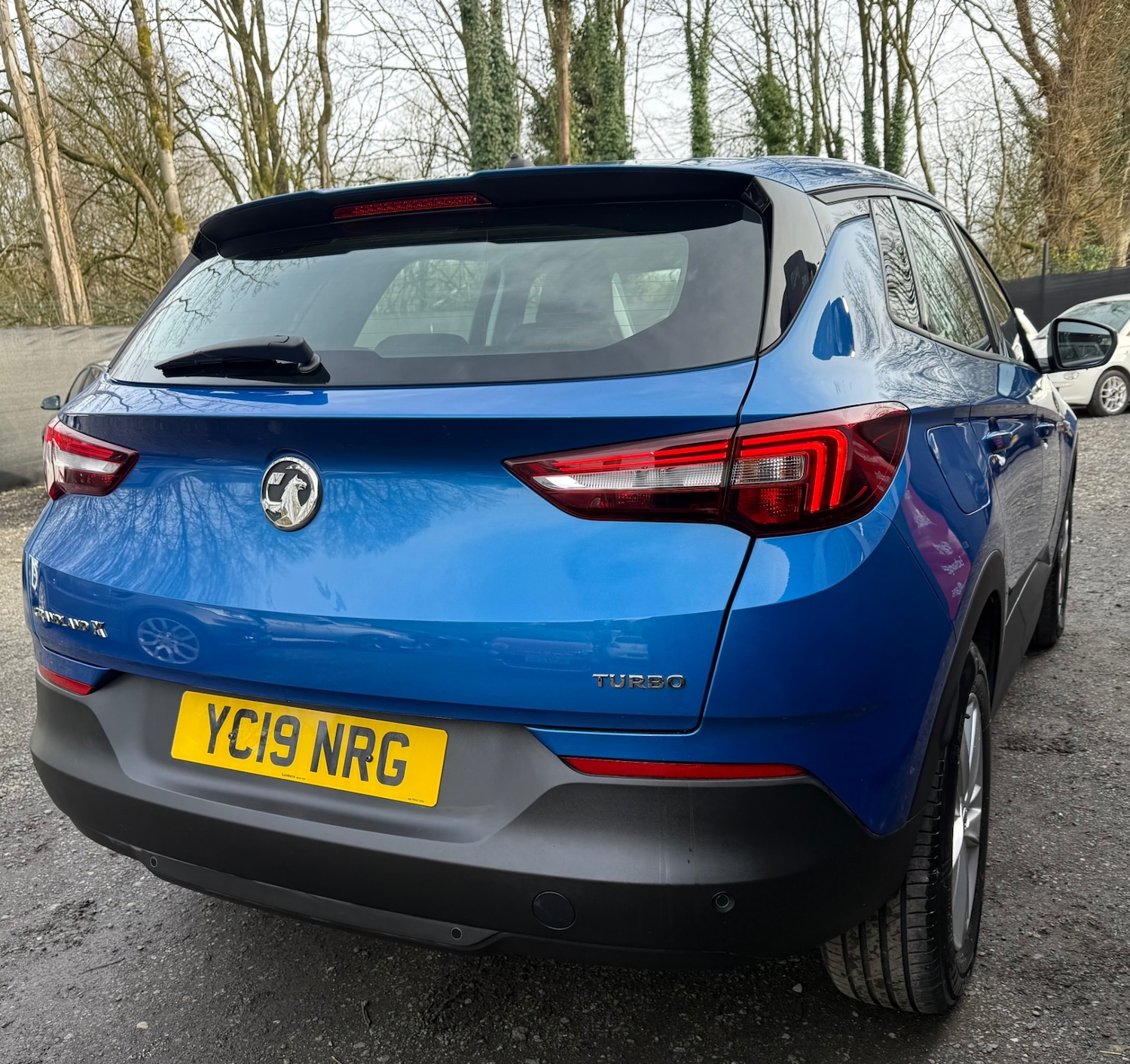 Used Vauxhall Grandland X 2019 for sale - 77584881: Photo 11