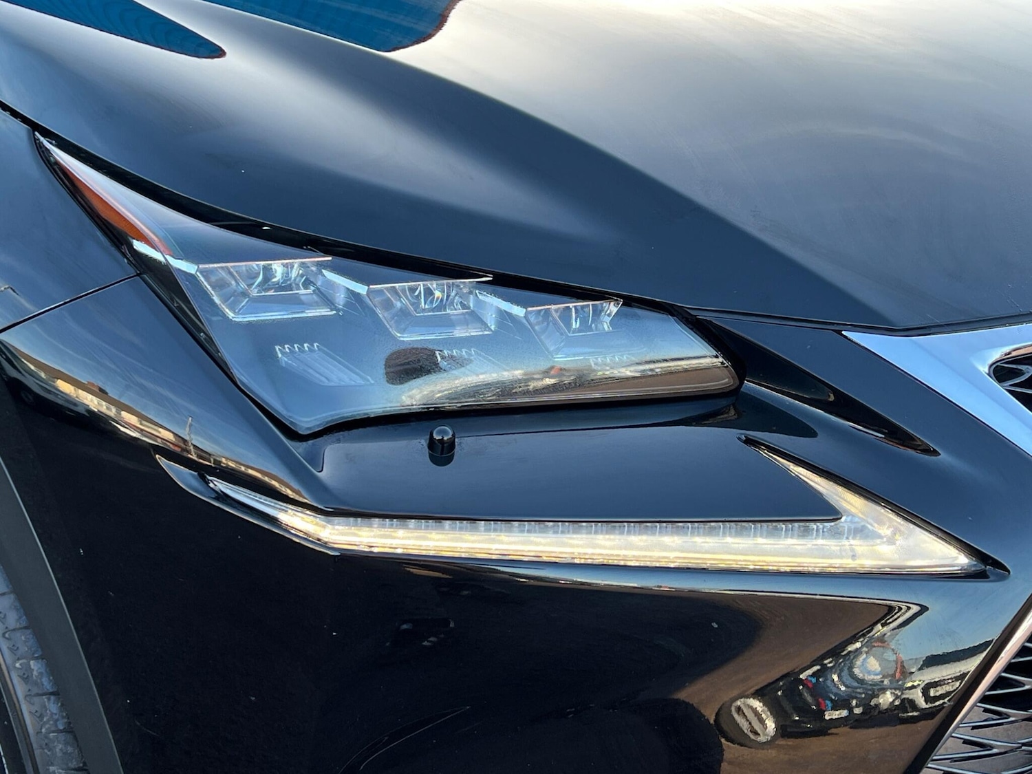 Used Lexus NX 2016 for sale - 77671614: Photo 14