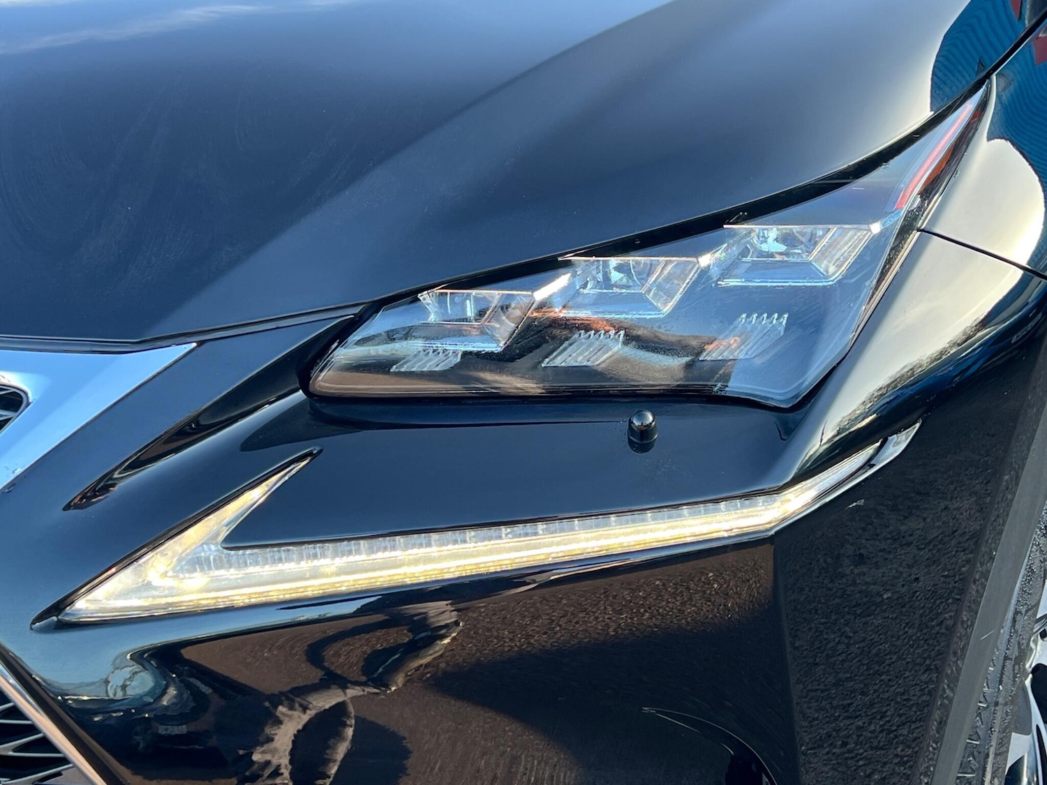 Used Lexus NX 2016 for sale - 77671614: Photo 15