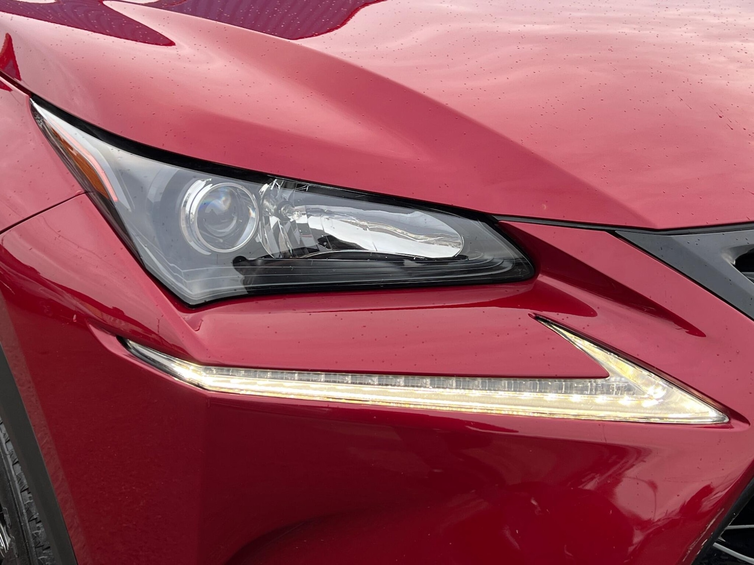 Used Lexus NX 2018 for sale - 77670775: Photo 11