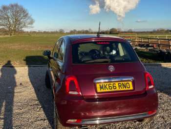 Used Fiat 500 2016 for sale - 74568770: Photo
