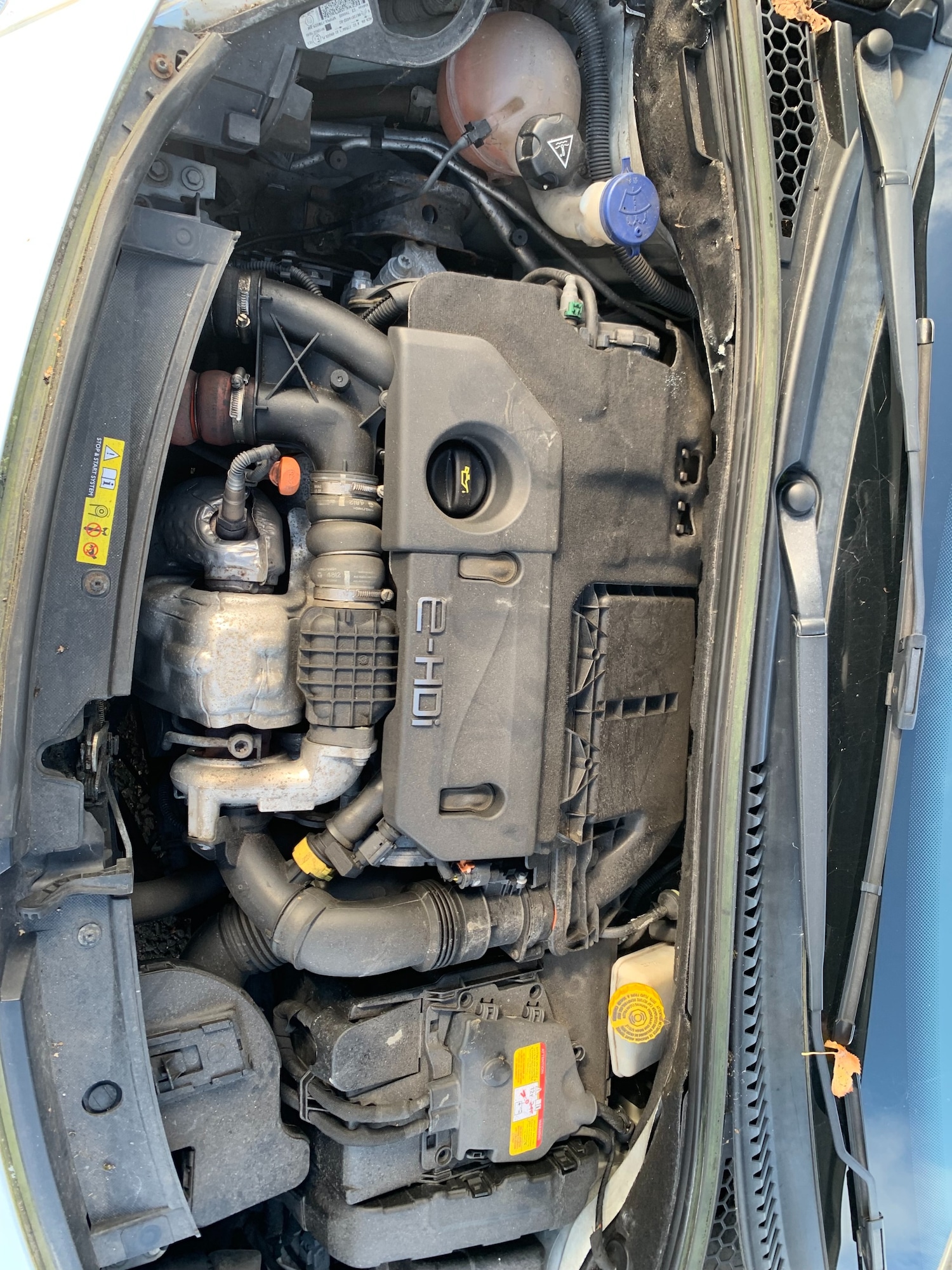 Used Citroen C3 2013 for sale - 76330978: Photo 16