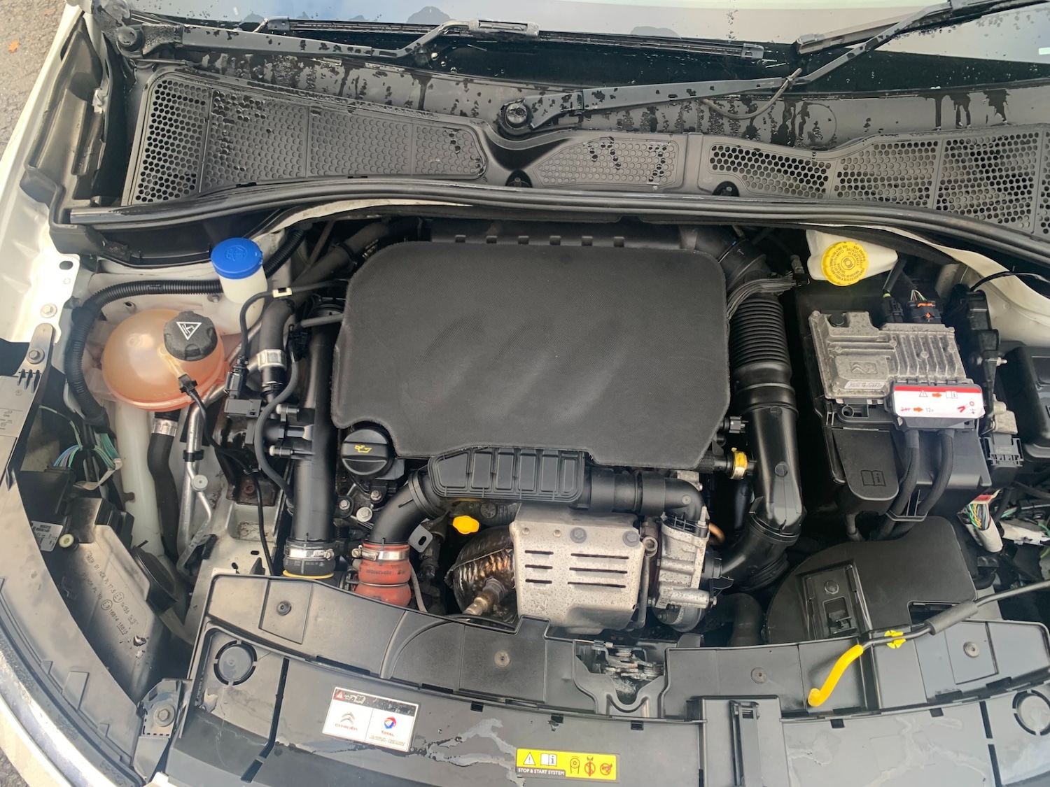 Used Citroen C4 Cactus 2014 for sale - 76907762: Photo 17