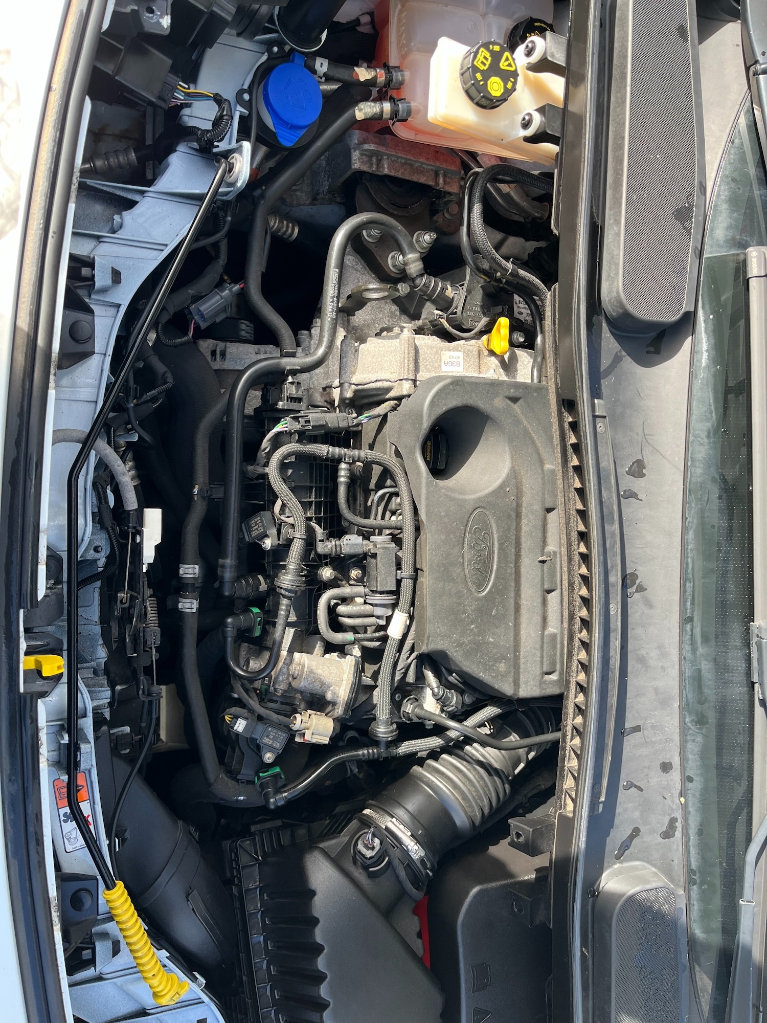 Used Ford Transit Connect 2020 for sale - 77519314: Photo 6