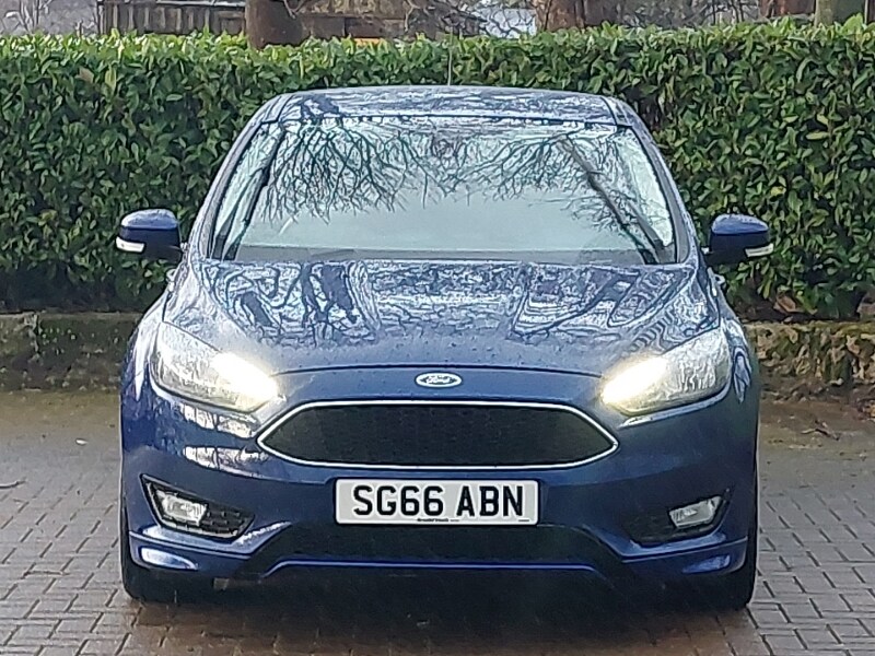 Used Ford Focus 2016 for sale - 77874521: Photo 13