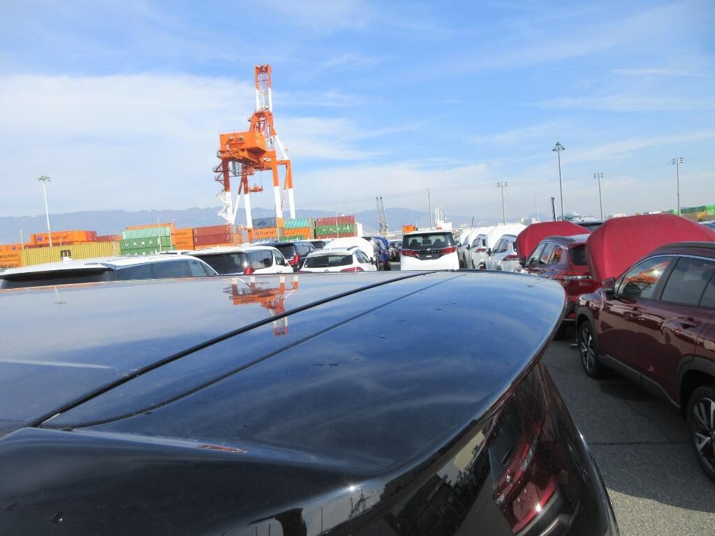 Used Toyota Vellfire 2009 for sale - 77541478: Photo 11