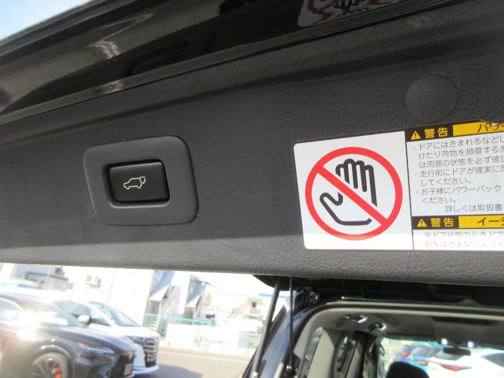 Used Toyota Vellfire 2009 for sale - 77541478: Photo 22