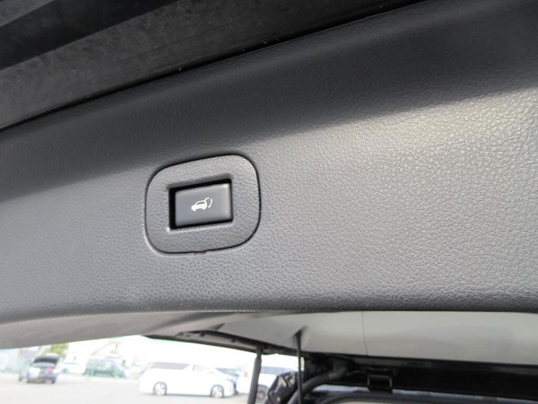 Used Nissan Elgrand 2018 for sale - 73850076: Photo 26