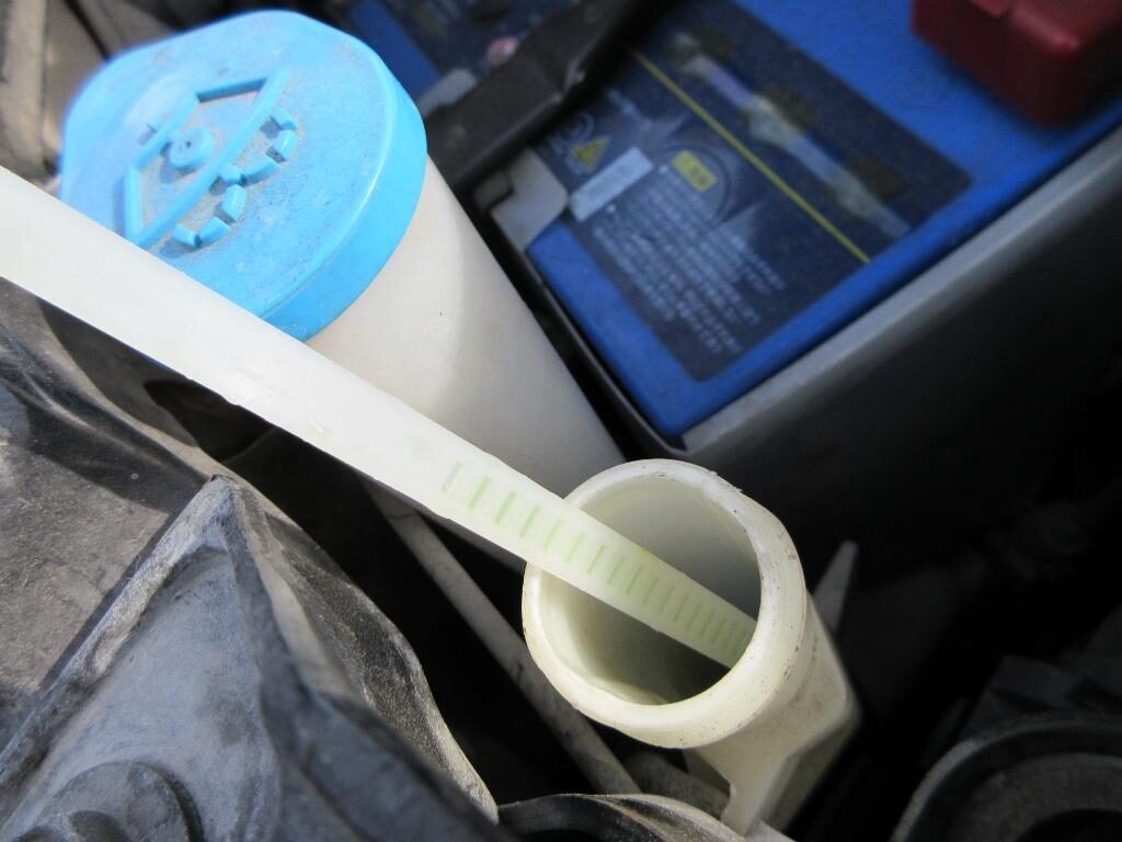 Used Nissan Elgrand 2008 for sale - 77039028: Photo 29