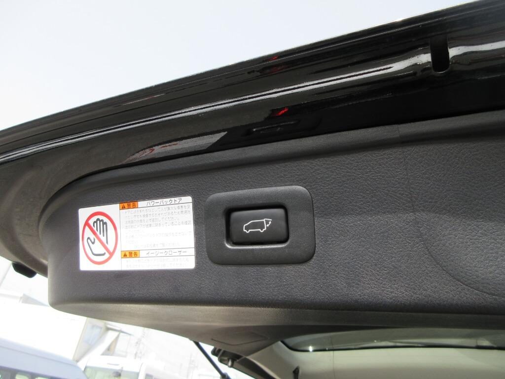 Used Toyota Alphard 2025 for sale - 77039056: Photo 15