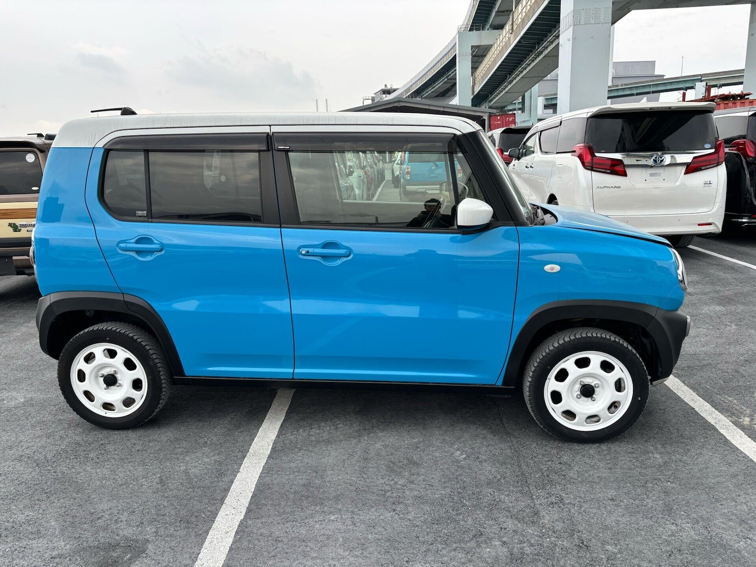 Used Suzuki Hustler 2014 for sale - 77039029: Photo 5