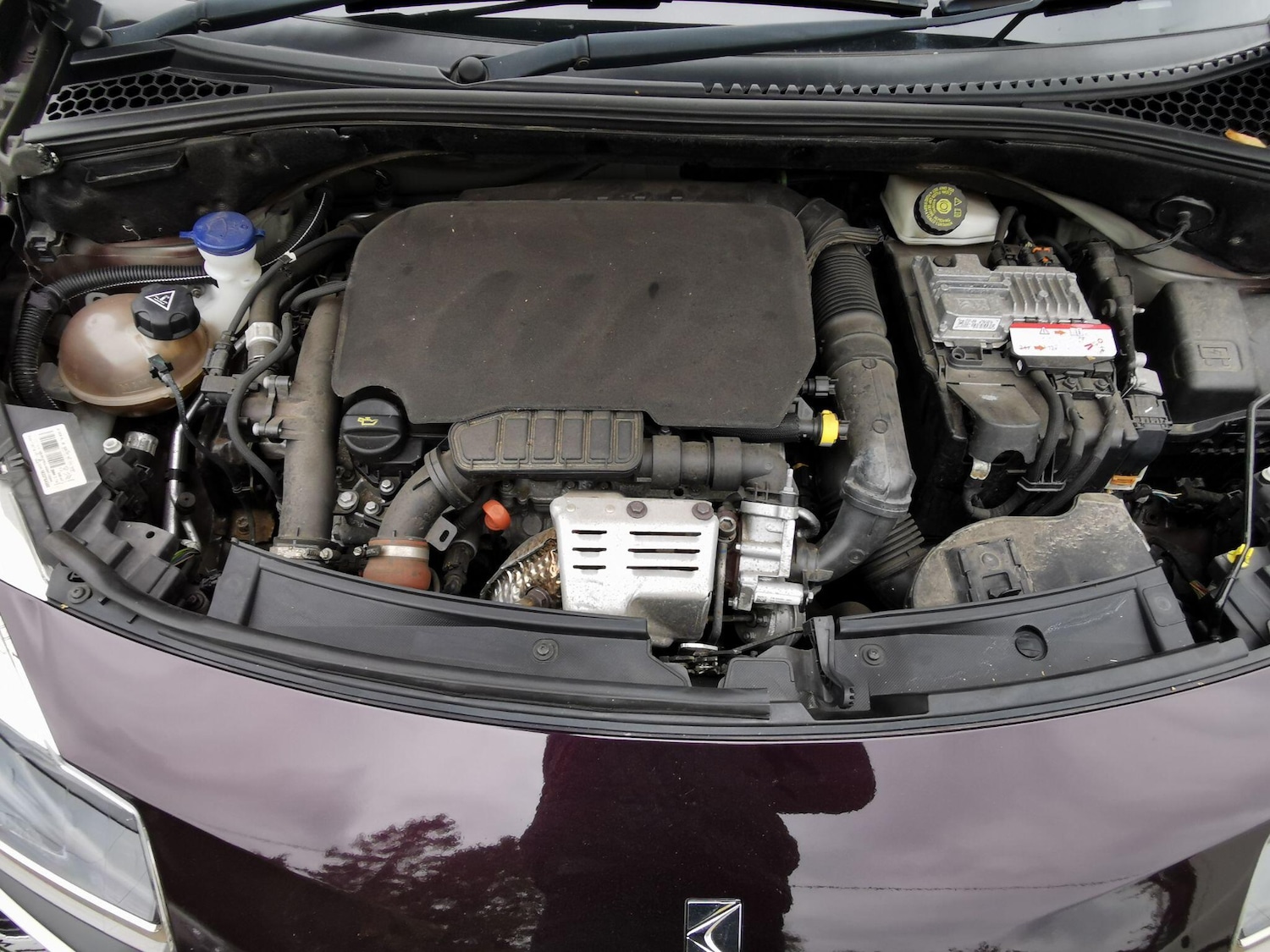 Used DS Automobiles DS 3 Cabrio for sale - 77753122: Photo 22