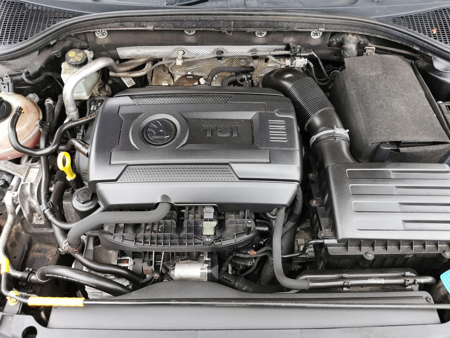 Used Skoda Octavia for sale - 77753302: Photo 25