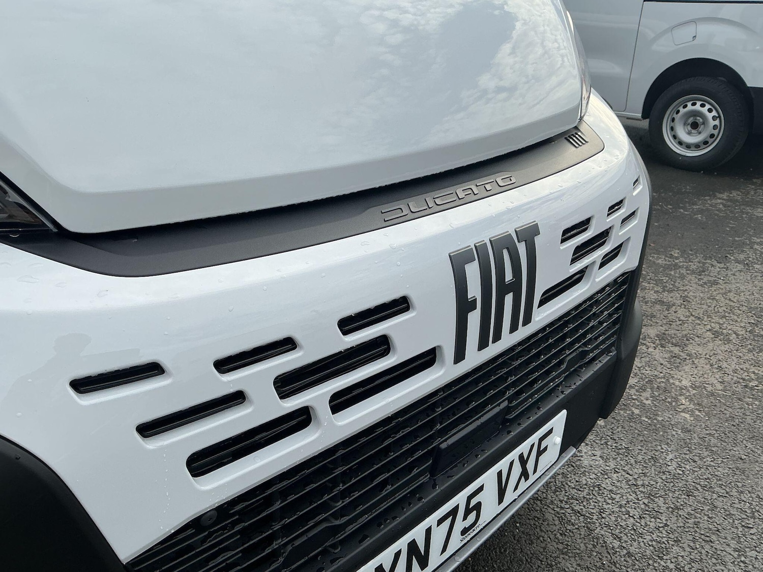 Used Fiat Ducato 2025 for sale - 76996429: Photo 26