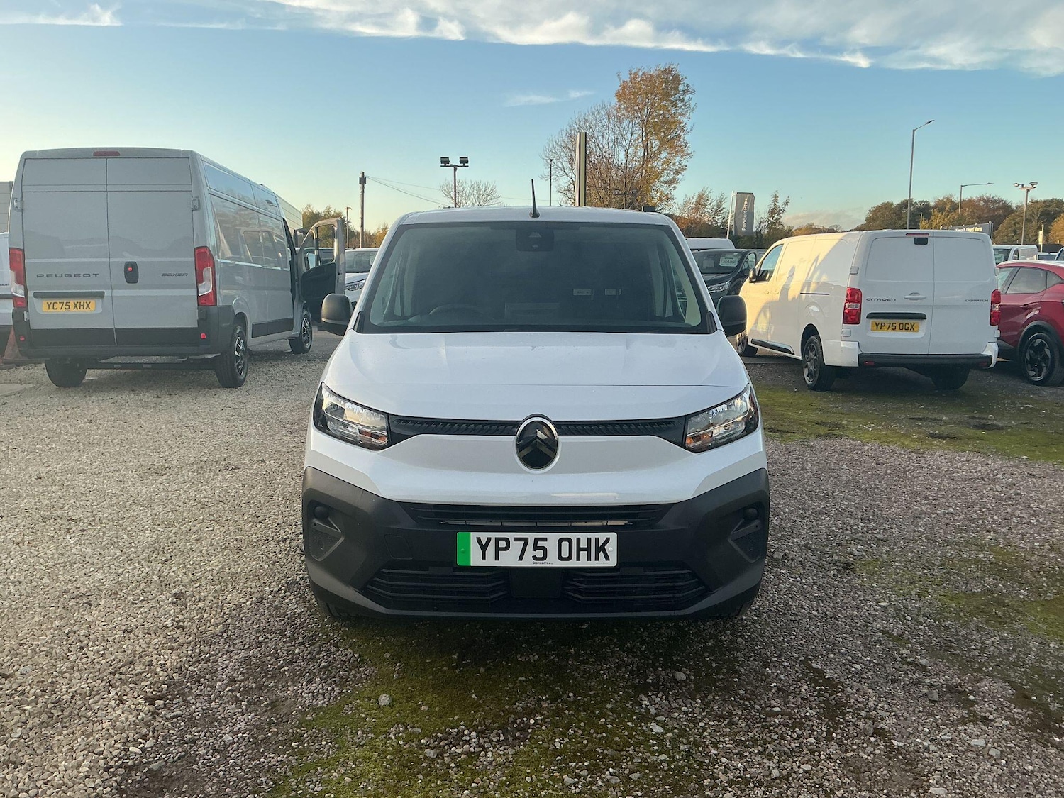 Used Citroen Berlingo for sale - 77290946: Photo 7