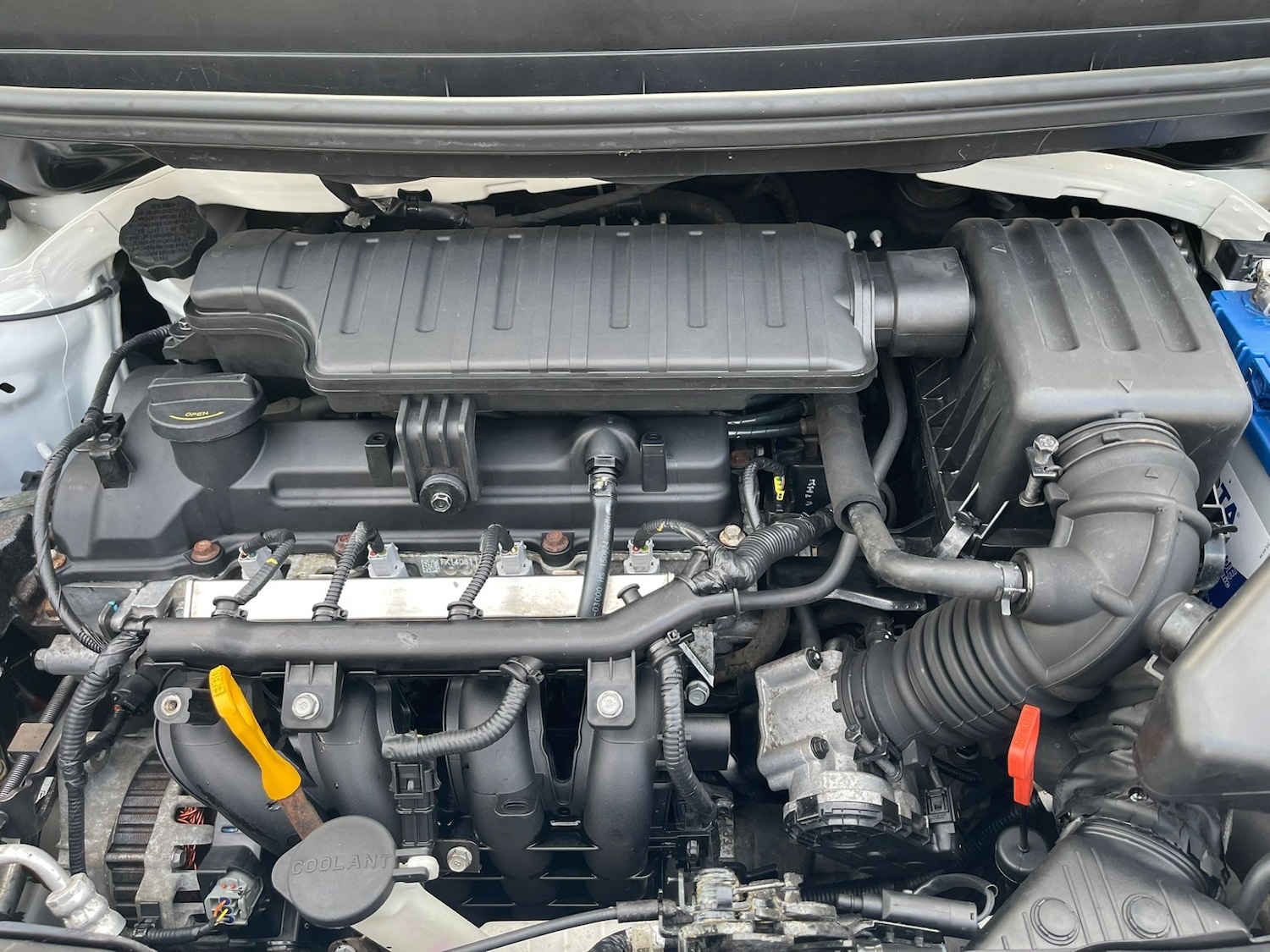 Used Kia Picanto 2016 for sale - 76081527: Photo 7