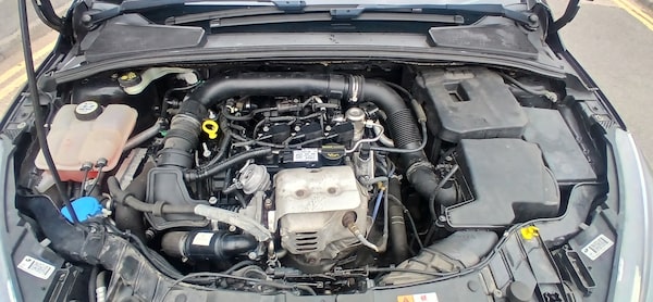 Used Ford Focus 2015 for sale - 76063950: Photo 11