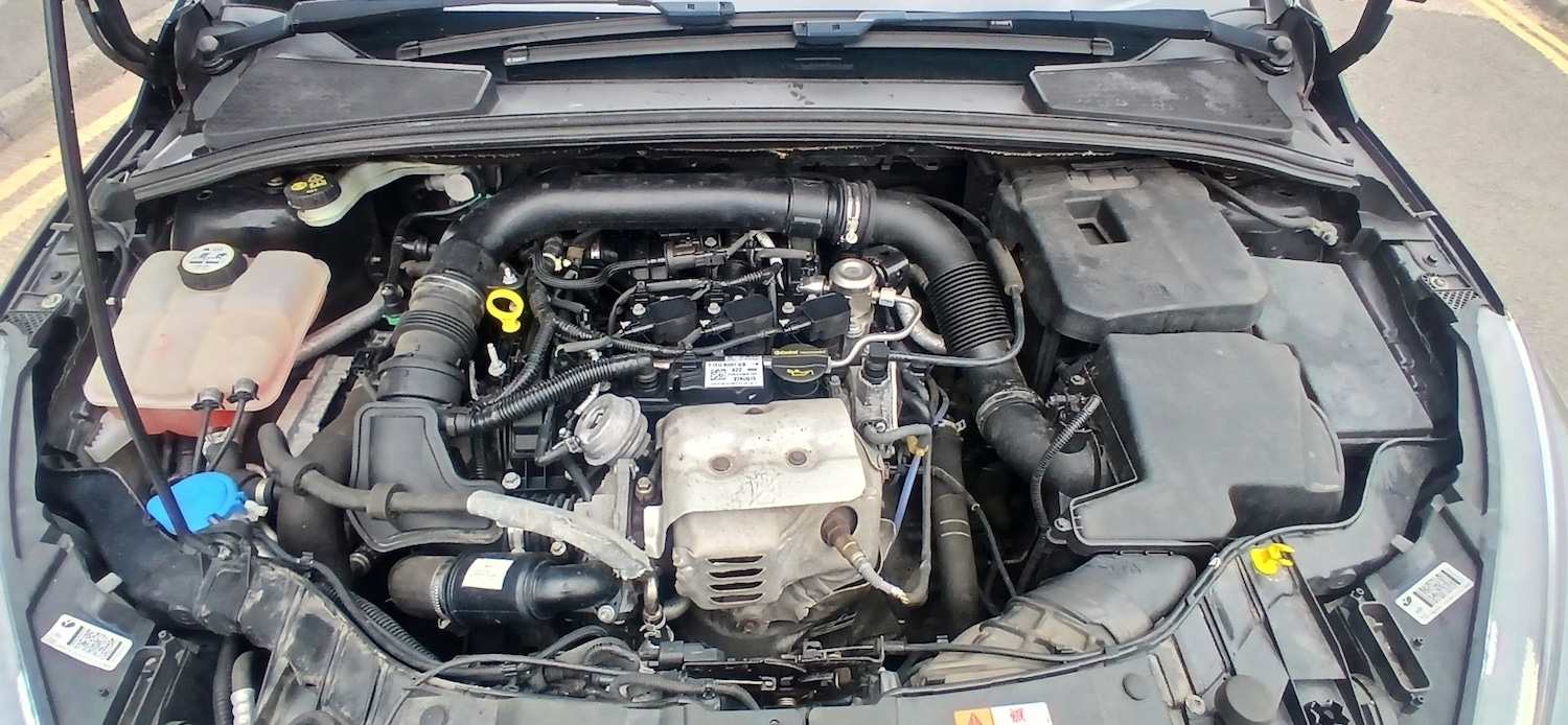 Used Ford Focus 2015 for sale - 76379663: Photo 8