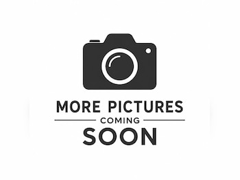 Used Ford Transit Custom 2020 for sale - 78520135: Photo