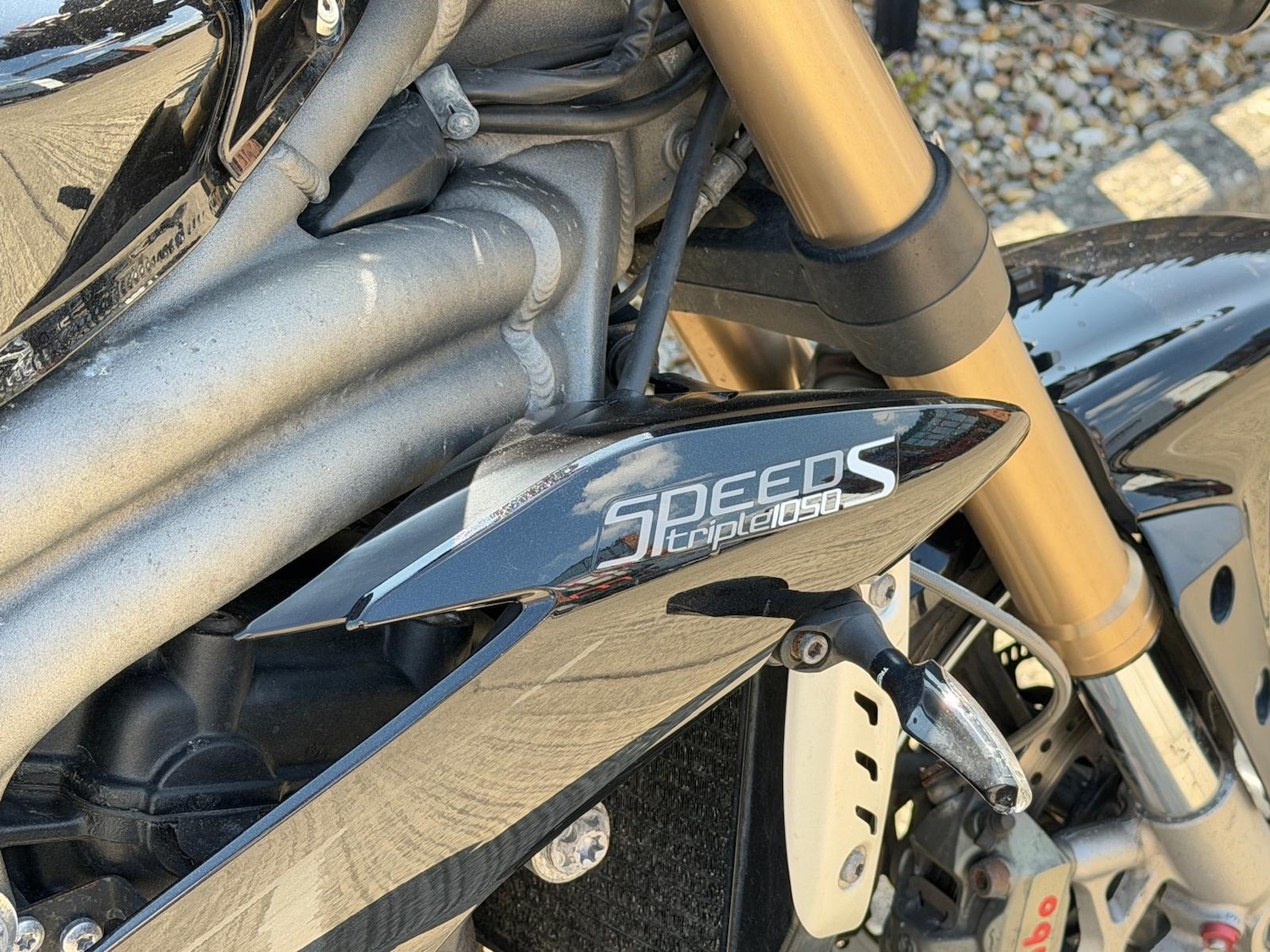 Used Triumph SPEED 2017 for sale - 78452358: Photo 7