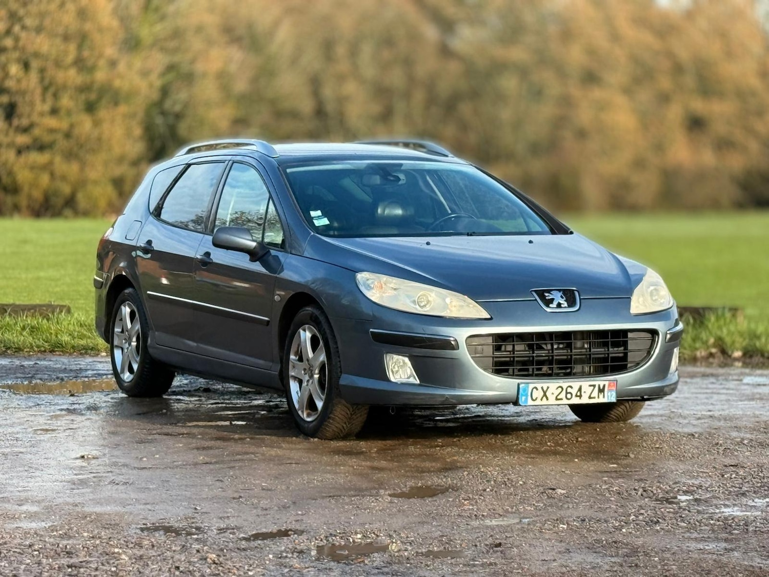 Used Peugeot 407 for sale - 77086690: Photo 13