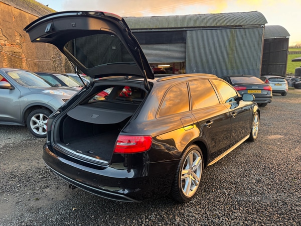 Used Audi A4 2014 for sale - 76743952: Photo 32