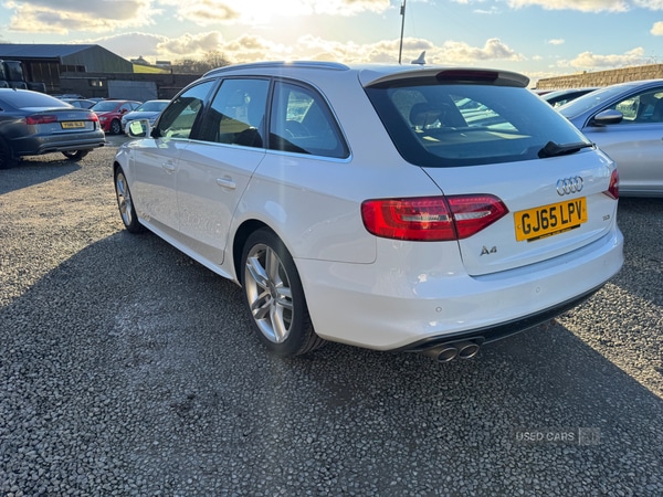 Used Audi A4 2015 for sale - 77551052: Photo 15