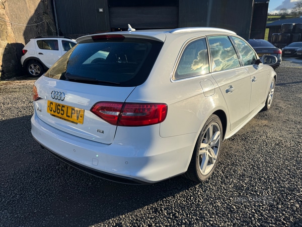 Used Audi A4 2015 for sale - 77551052: Photo 19