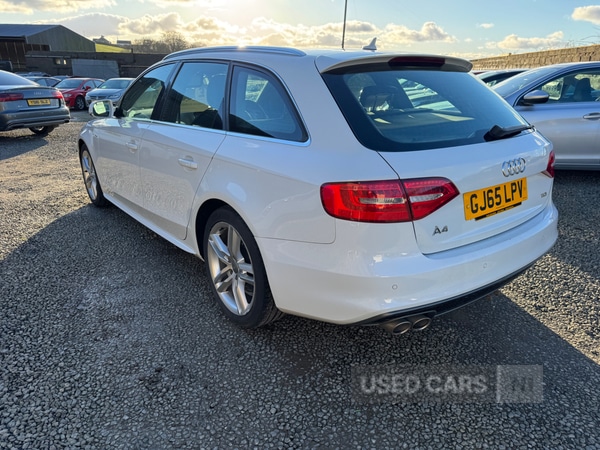 Used Audi A4 2015 for sale - 77551052: Photo 35