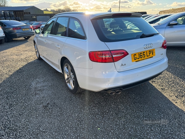 Used Audi A4 2015 for sale - 77551052: Photo 36