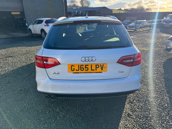 Used Audi A4 2015 for sale - 77551052: Photo 37