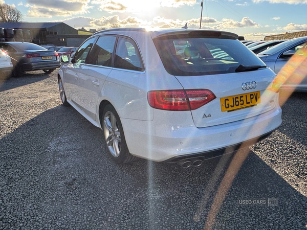 Used Audi A4 2015 for sale - 77551052: Photo 39