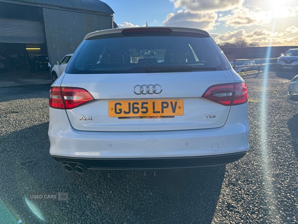 Used Audi A4 2015 for sale - 77551052: Photo 40