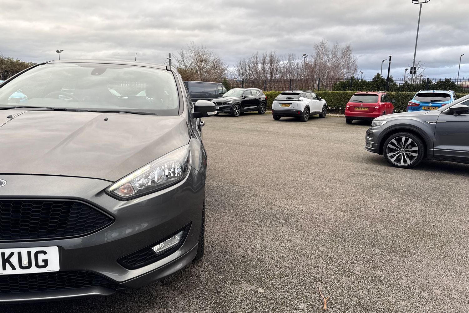 Used Ford Focus 2016 for sale - 77270455: Photo 26