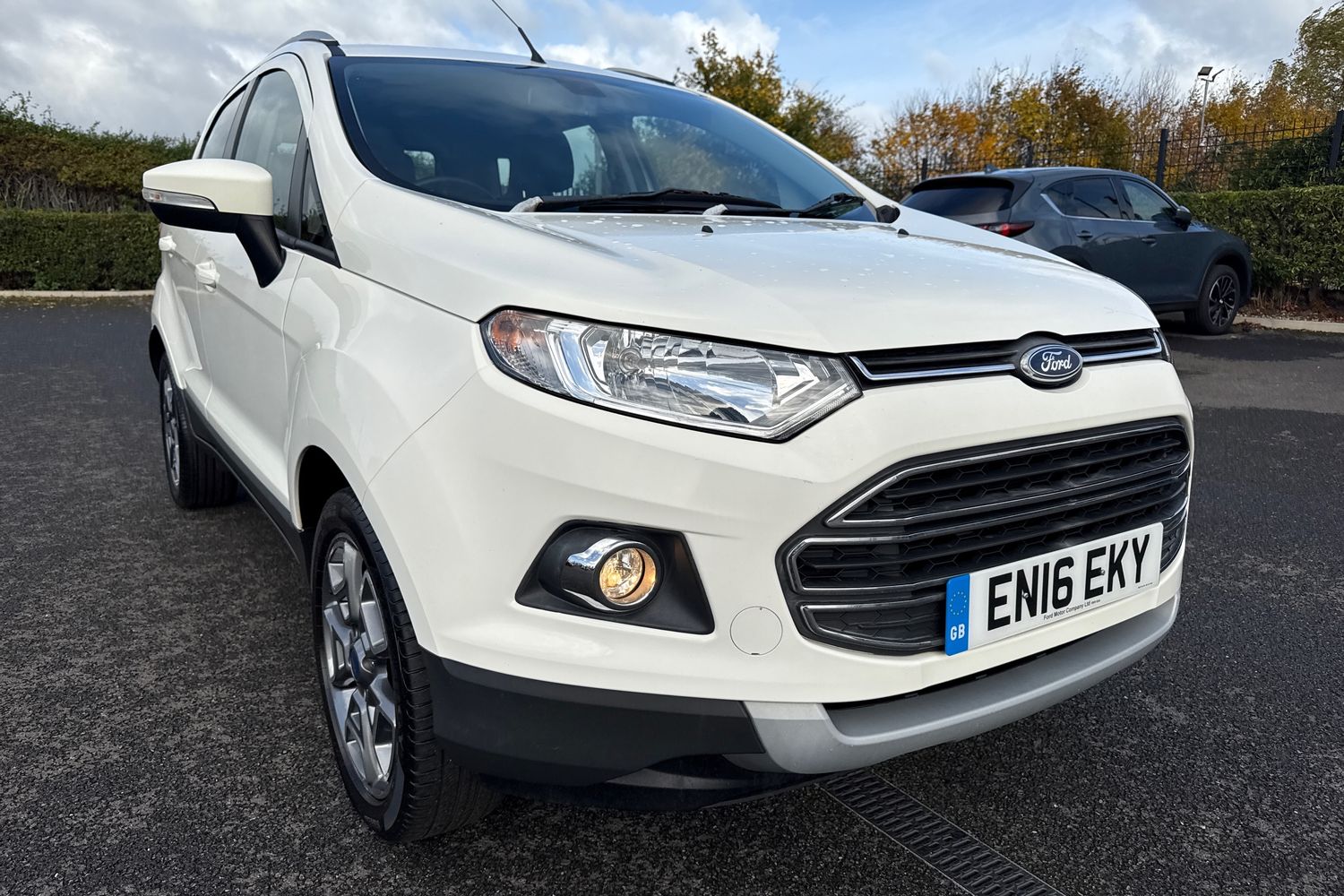 Used Ford Ecosport 2016 for sale - 76385471: Photo 8