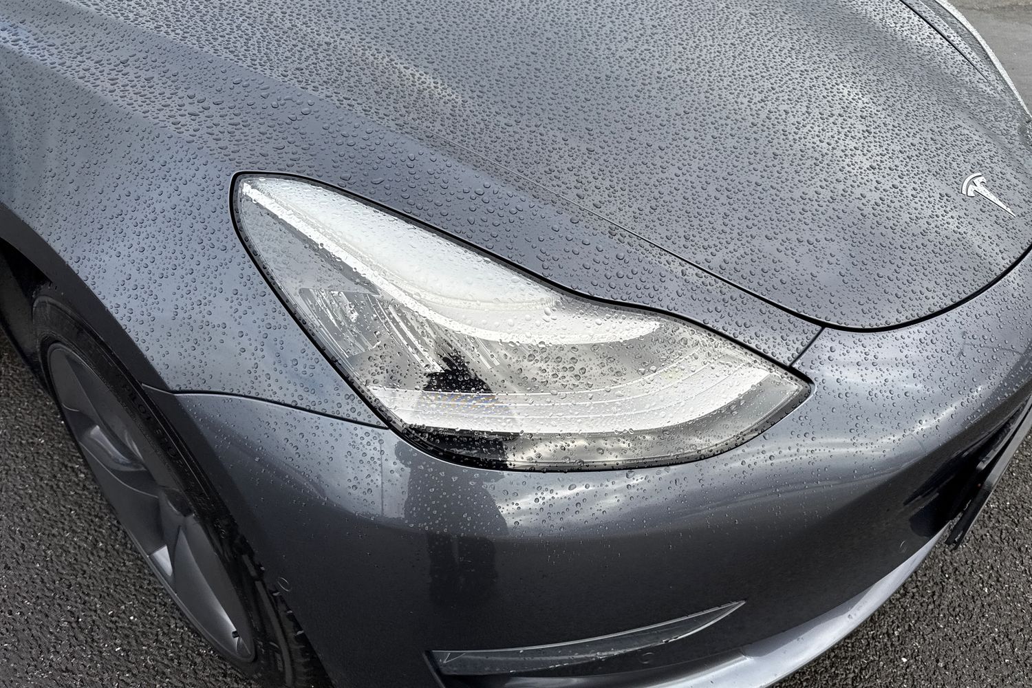 Used Tesla Model 3 2019 for sale - 77628497: Photo 9