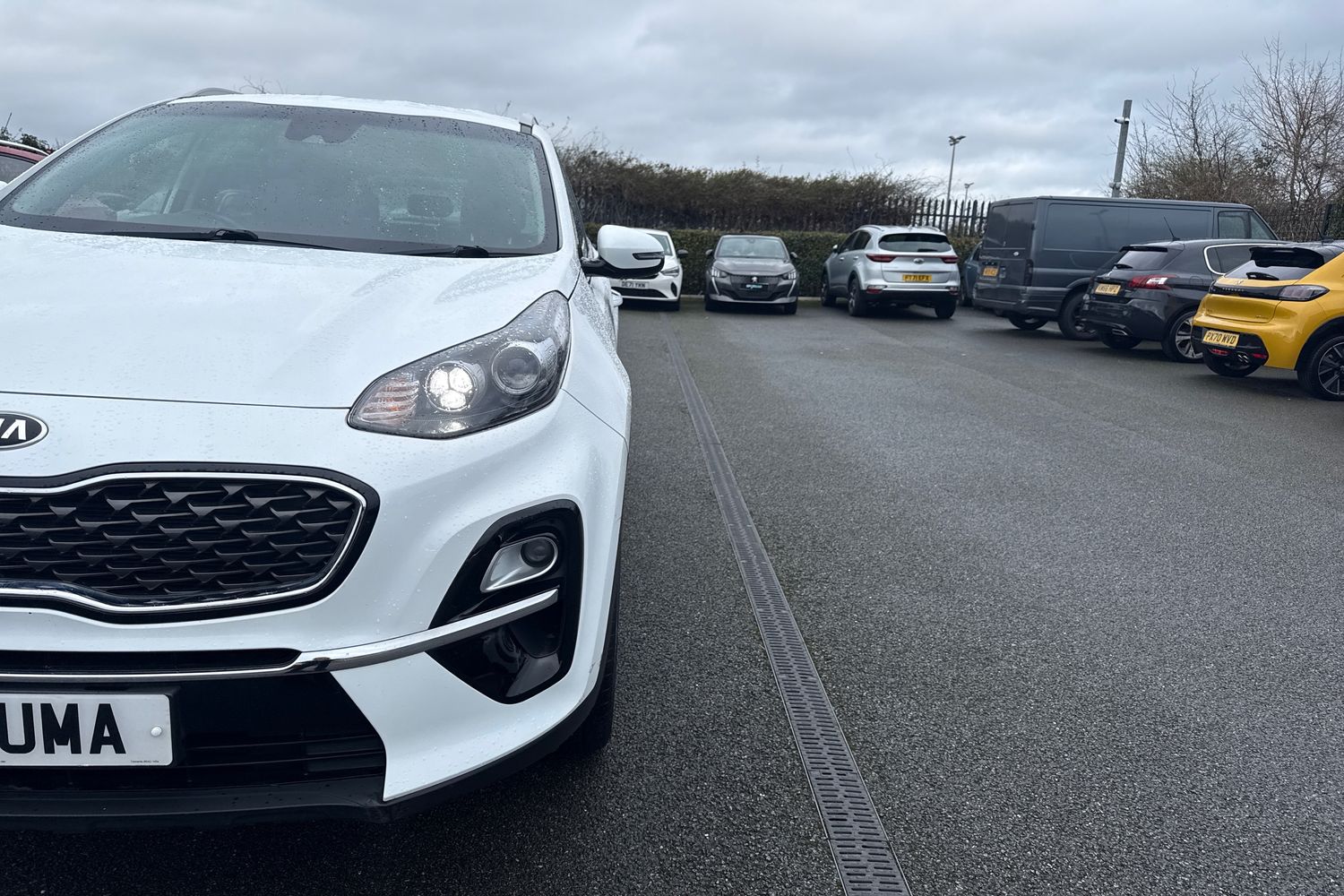 Used Kia Sportage 2019 for sale - 77500811: Photo 26