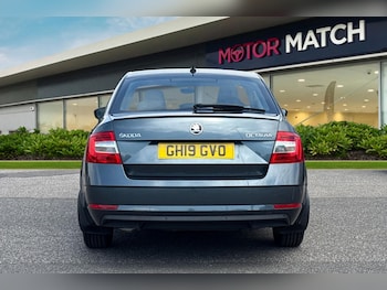 Used Skoda Octavia 2019 for sale - 79149908: Photo
