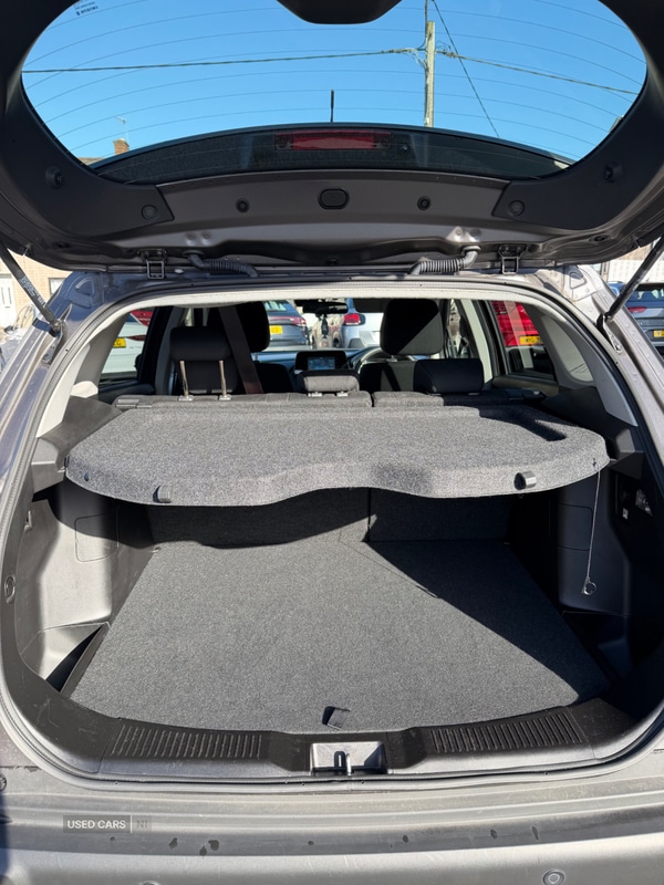 Used Suzuki SX4 S-Cross 2023 for sale - 77738959: Photo 8