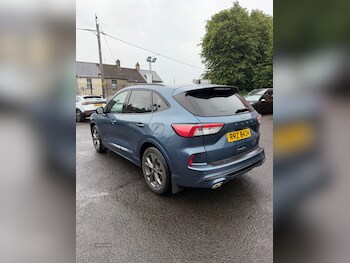Used Ford Kuga 2020 for sale - 79117169: Photo
