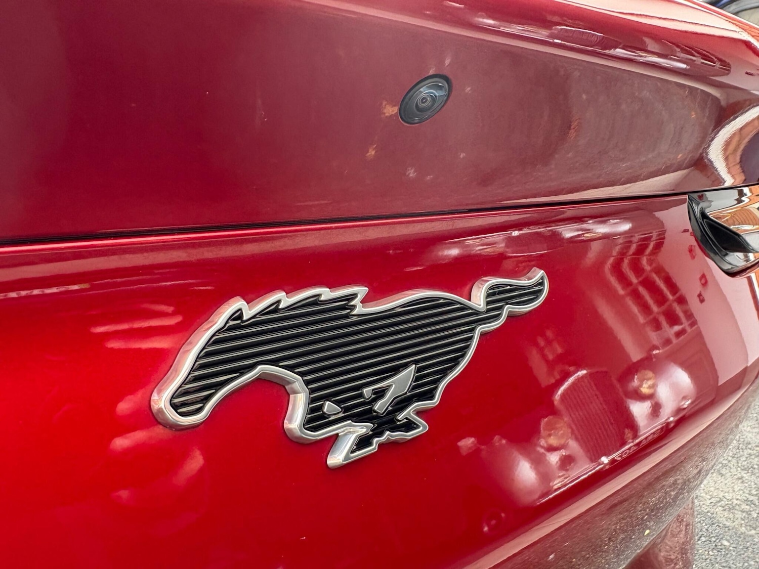 Used Ford Mustang Mach-E 2021 for sale - 76360714: Photo 6