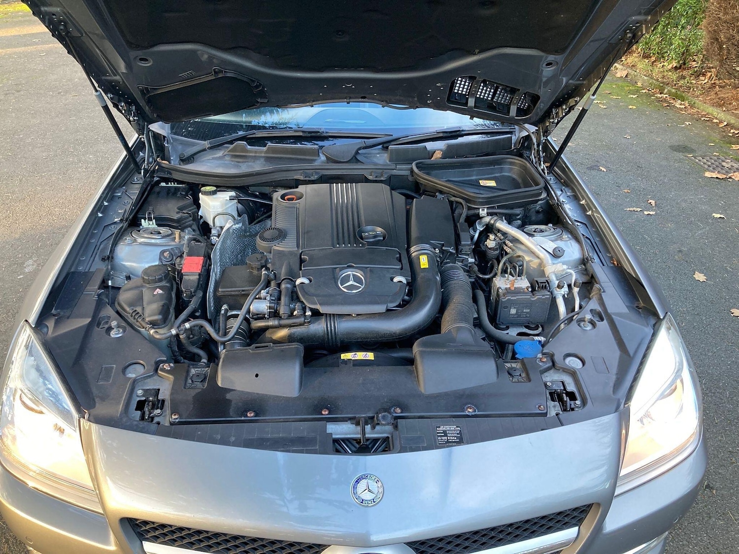 Used Mercedes-Benz SLK 2012 for sale - 77029809: Photo 28