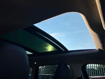 Used Ford Kuga 2019 for sale - 79236285: Photo