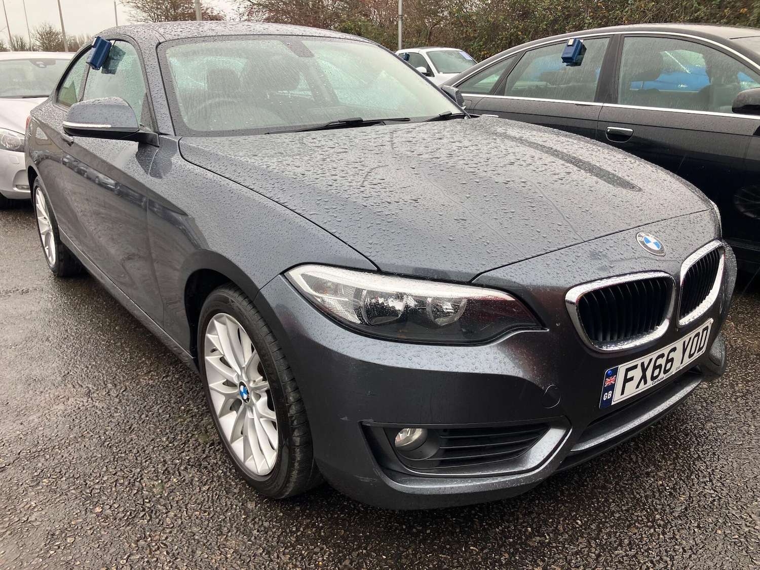 Used BMW 2 Series 2016 for sale - 76975710: Photo 4