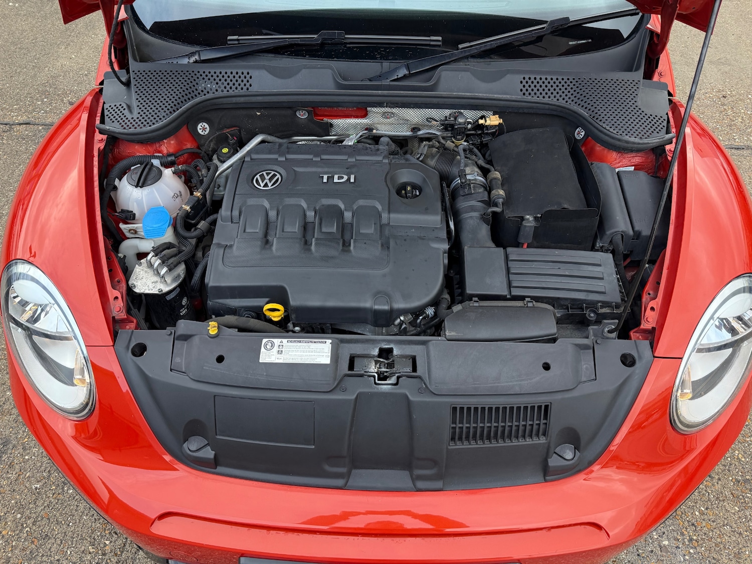 Used Volkswagen Beetle 2018 for sale - 77088275: Photo 34