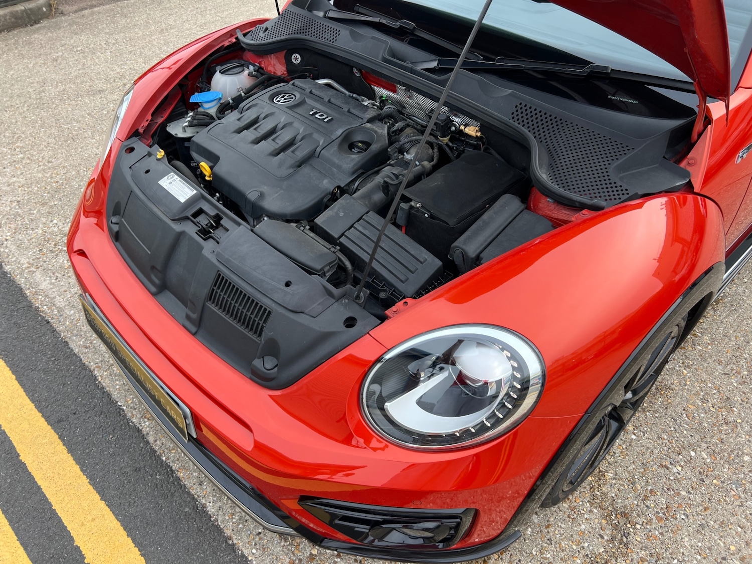 Used Volkswagen Beetle 2016 for sale - 76101305: Photo 39